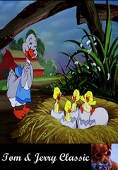 tom and jarry cartoon