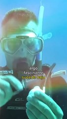 Esto pasa si tu rompes un huevo debajo del agua