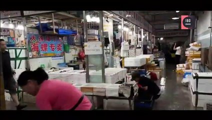 Japan Releases Radioactive Water into the Sea, China Criticizes | I B D