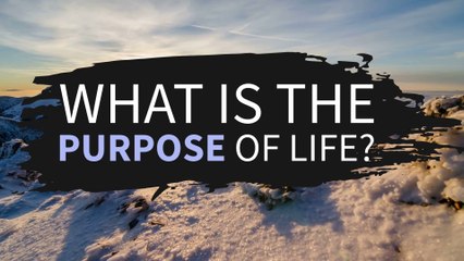What is the purpose of life? According to the bible