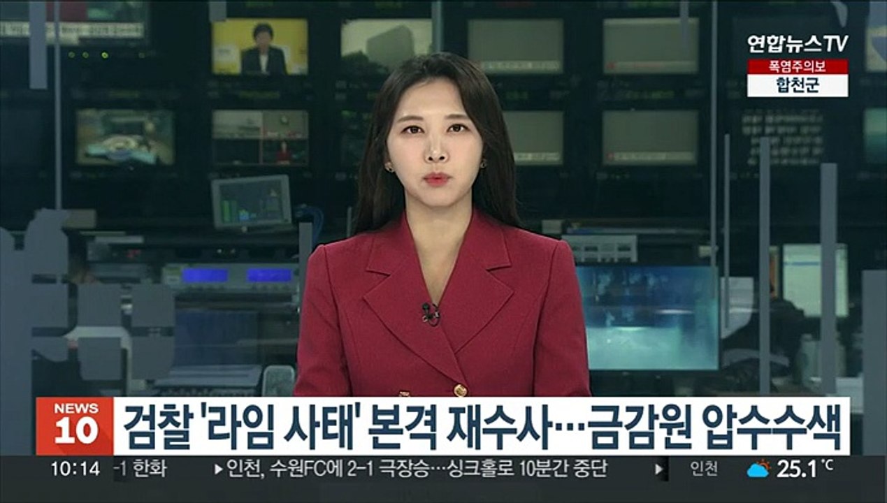 검찰 '라임 사태' 본격 재수사…금감원 압수수색