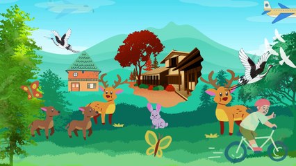 Video animasi - hutan - hewan hewan