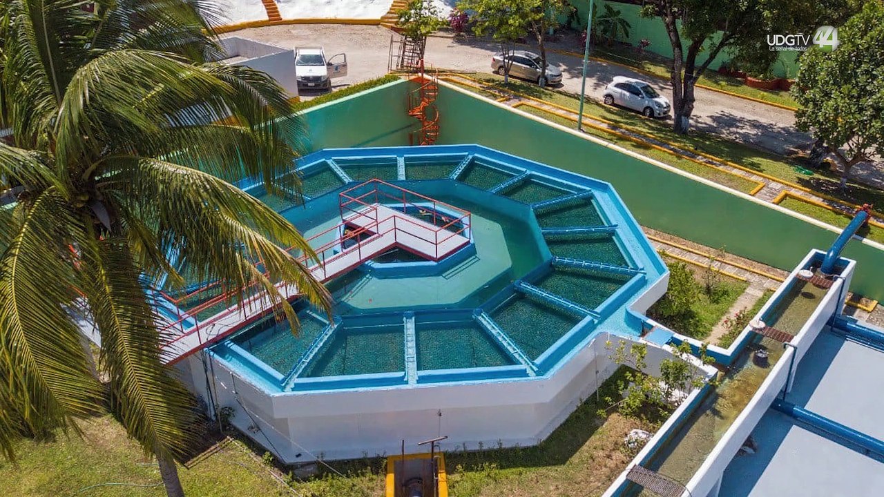 Habitantes de las colonias de la parte alta del Pitillal en Vallarta protestan por desabasto de agua