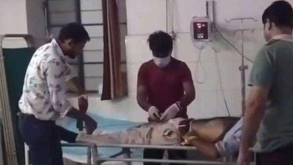 उदयपुर: पिकअप ने बाइक सवार को कुचला, हादसे में दो युवकों की हुई दर्दनाक मौत