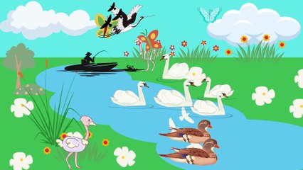 Video animasi - danau - angsa - bunga