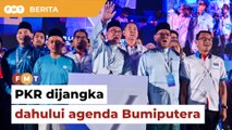 Selepas prestasi buruk Umno, PKR dijangka dahului agenda Bumiputera, kata penganalisis