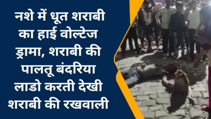 लखीमपुर खीरी : शराबी का हाई वोल्टेज ड्रामा, बंदर करता रहा रखवाली, देखें वीडियो