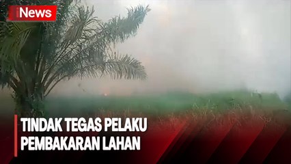 Tangkap Sejumlah Pelaku Pembakaran Lahan di Jambi,  Dansatgas Kembali Ingatkan akan Tindak Tegas