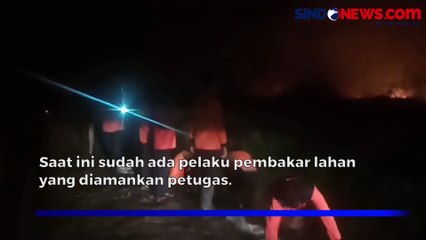 Dansatgas Karhutla Sebut Tangkap Sejumlah Pelaku Pembakaran Lahan di Jambi