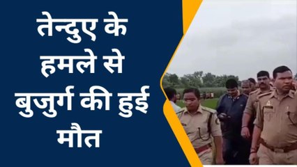 बस्ती के खेत में पड़ी मिली लाश, तीन दिन पहले दिखी थी तेंदुए की मूमेंट