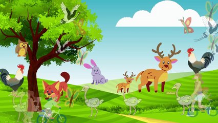 Video animasi - padang rumput - hewan