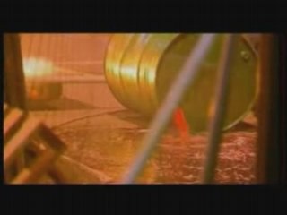 Soklak - monde de narvalos