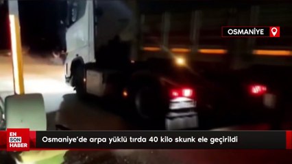 Osmaniye'de arpa yüklü tırda 40 kilo skunk ele geçirildi