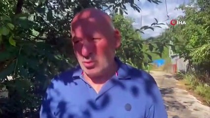 La créature trouvée dans la fontaine du village d'Artvin a été révélée