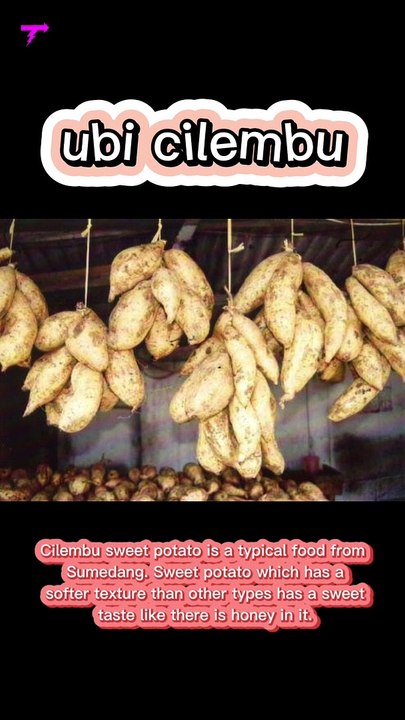 UBI CILEMBU