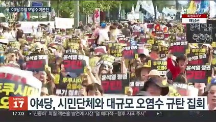 야당, 오염수 규탄 주말 집회…여 "선전선동"