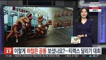 [헤이!월드] 274m 상공에서 멈춘 케이블카…12시간 '대롱대롱' 外