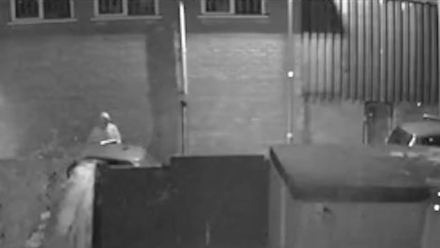 Tiny chihuahua’s barks scare off three would-be car thieves