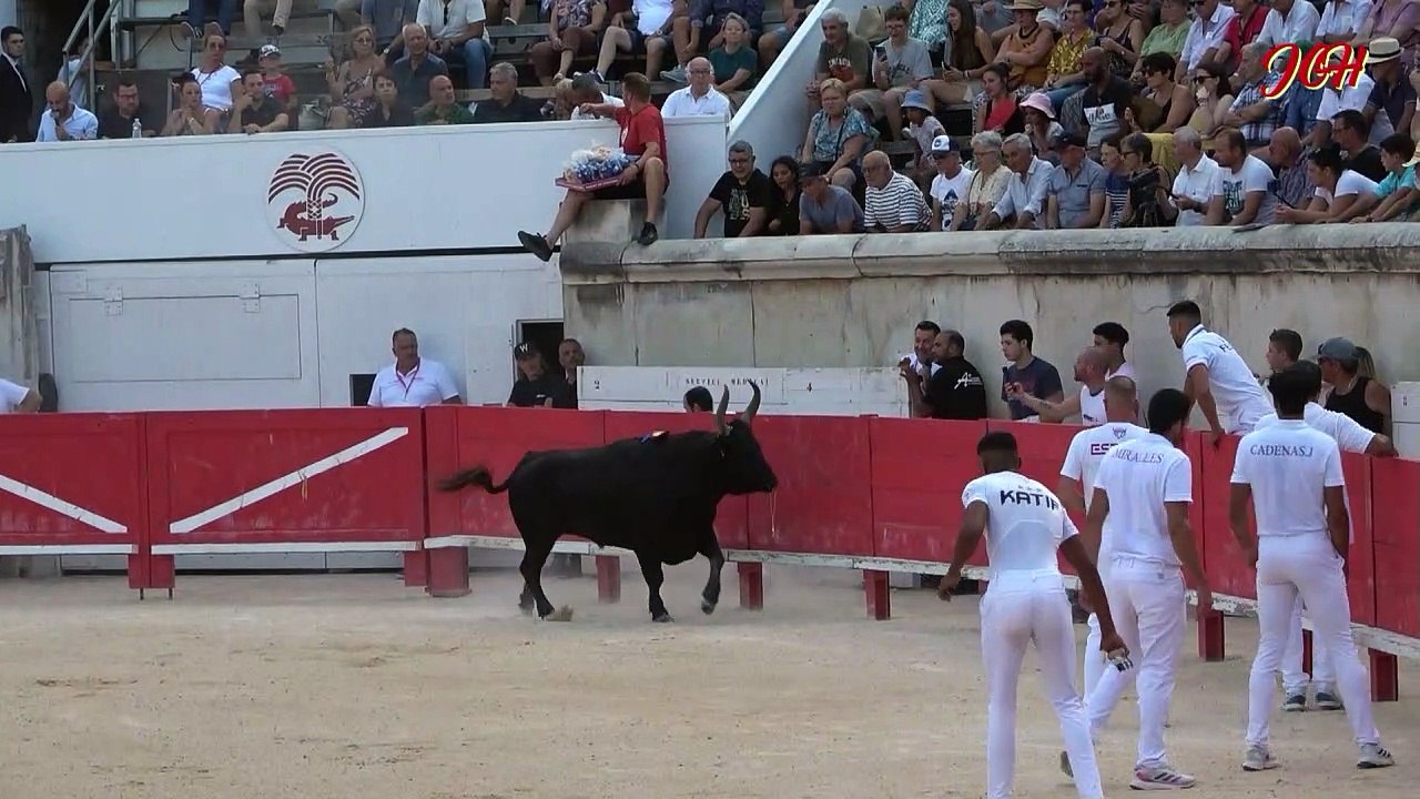 24 Août 2023 Grand Prix de la Ville de NIMES