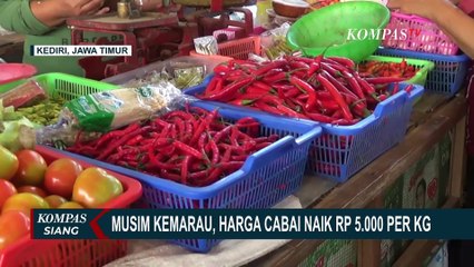 Masuki Musim Kemarau, Harga Cabai di Kediri Sentuh Rp 45.000,- per Kg