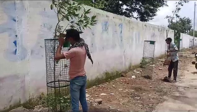बस स्टैंड की सुंदरता बढ़ाने लगाए आठ फीट ऊंचे पेड़