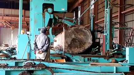 Extreme Dangerous Biggest Wood Sawmill Machine Working, Fastest Chainsaw Wood Cutting Machine-----#22