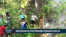 Angin Kencang Sulitkan Pemadaman Kebakaran Hutan Jati di Situbondo