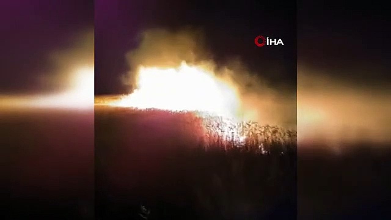 Ağrı'da tarla yangını: Tarla küle döndü