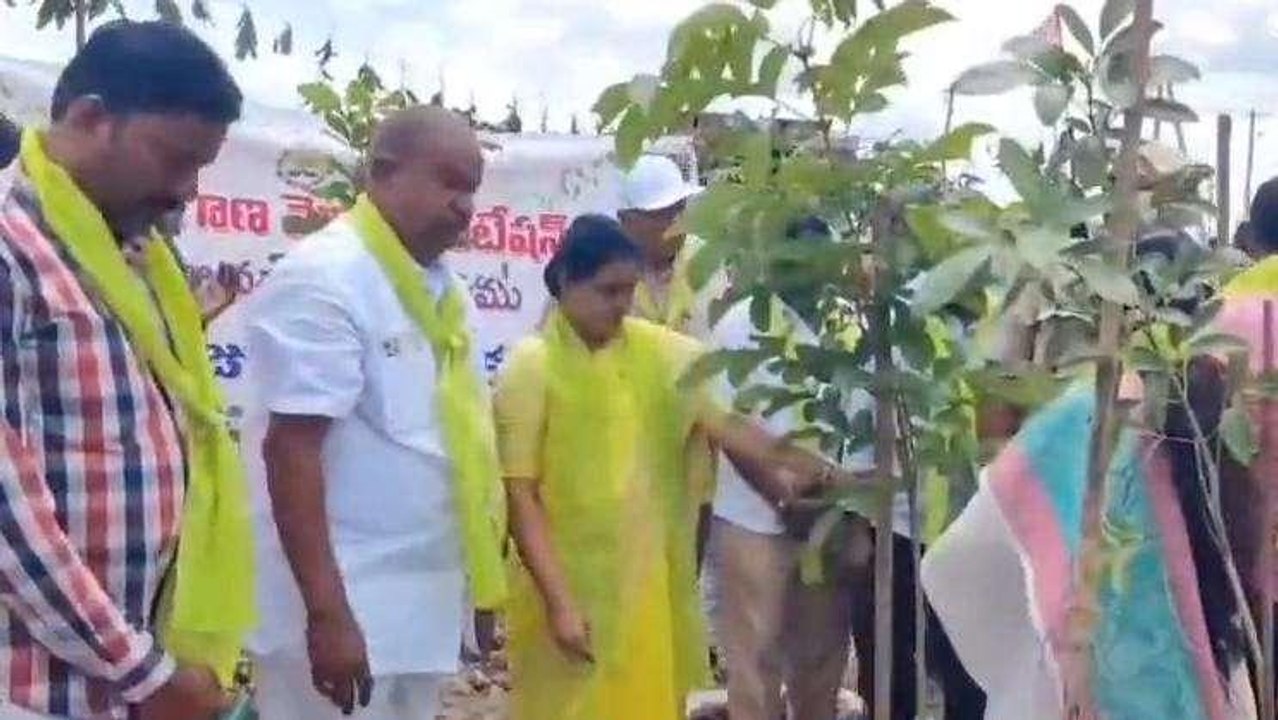 జగిత్యాల: ప్రతి గ్రామంలో 1000 మొక్కలు.. జిల్లాలో 4 లక్షలు మొక్కలు నాటుతున్నాం