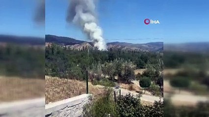 Çankırı'nın Ilgaz ilçesinde orman yangını