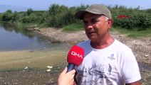 Büyük Menderes Nehri'nde Toplu Balık Ölümleri Yaşanıyor