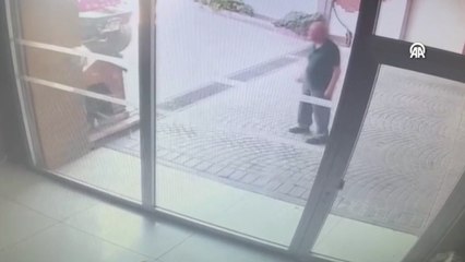 Bakırköy'deki pitbull saldırısının görüntüsü ortaya çıktı