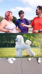 Tu détestes quel chien ? 