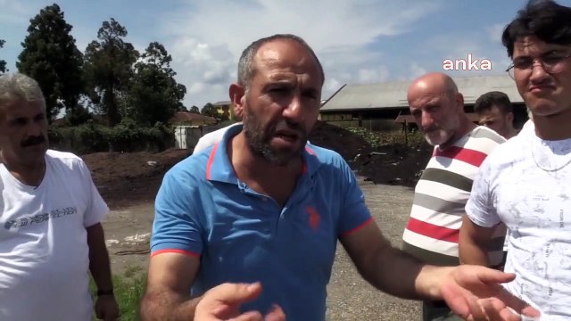 Les déchets de l'usine Çaykur à Artvin Kemalpaşa dégagent une mauvaise odeur