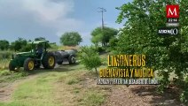 Limoneros acuerdan aumentar la producción para evitar el desabasto en Michoacán