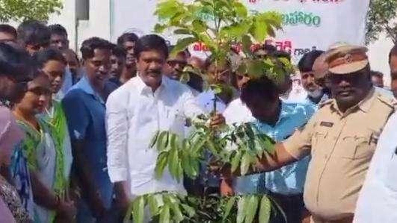నిజామాబాద్: పచ్చదనం పెంపుదలలో నంబర్ 1 తెలంగాణ