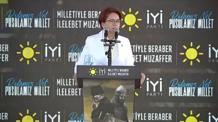 Meral Akşener: Yerel seçimde kendi kadrolarımızla milletin karşısına çıkacağız