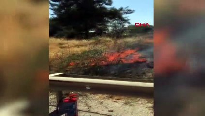 Tarsus'ta meyve yüklü kamyon yandı