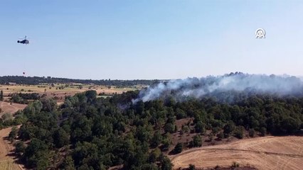 Bilecik’te orman yangını: Ekipler harekete geçti