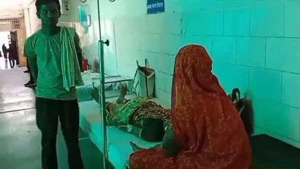 मुड़वारा: खेत में कम कर रही महिला को जहरीले सांप ने काटा, अस्पताल में जारी उपचार