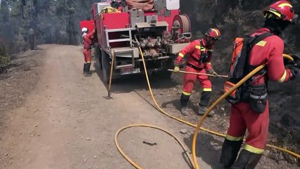 Retiran los hidroaviones ante la evolución del incendio de Tenerife, que está consolidado