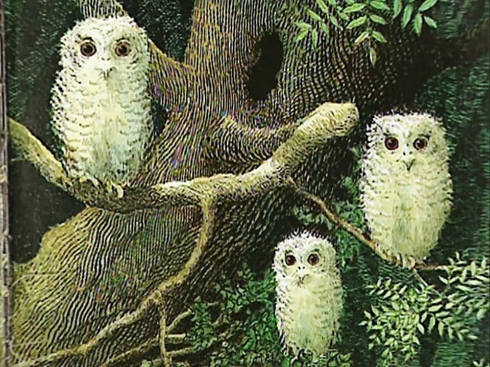 Teletubbies - 013 - Owl Babies