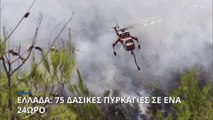 Ελλάδα: 75 δασικές πυρκαγιές σε ένα 24ωρο