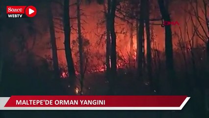 Maltepe'de orman yangını