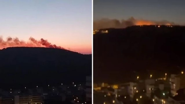 İstanbul Maltepe'de orman yangını çıktı, ekipler bölgeye sevk edildi