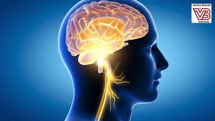 ಮಕ್ಕಳ ಬೆಳವಣಿಗೆಯಲ್ಲಿ ದೈನಂದಿನ ಆಹಾರ ಕ್ರಮ ಹೇಗೆ ಪರಿಣಾಮ ಬೀರುತ್ತೆ? | DIET TALK with Pallavi Idoor