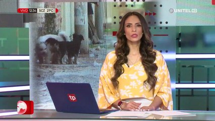 Distribuye 3.4 millones de dosis contra la rabia canina para la campaña nacional de vacunación