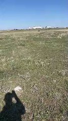 Pointer Doing Pointer Things