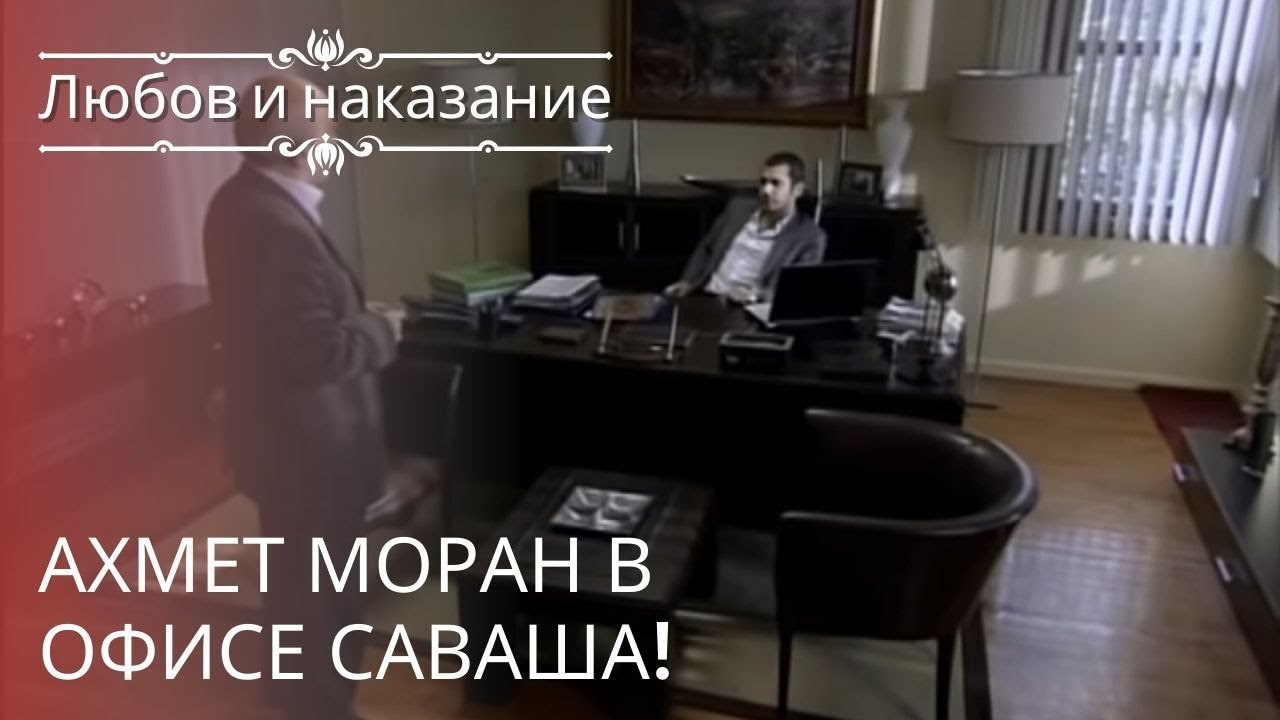 Ахмет Моран в офисе Саваша! | Любовь и наказани...