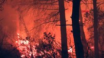 Maltepe Başıbüyük'te çıkan orman yangını söndürüldü